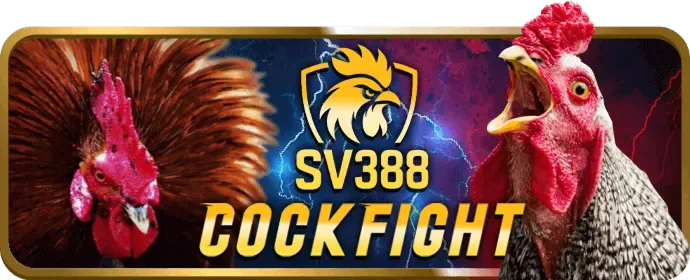 Hướng dẫn tải ứng dụng Spobet cho Android với mã QR