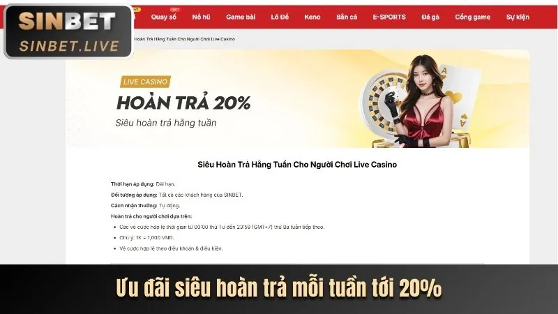 Hướng Dẫn Chơi Casino Trực Tuyến Spobet